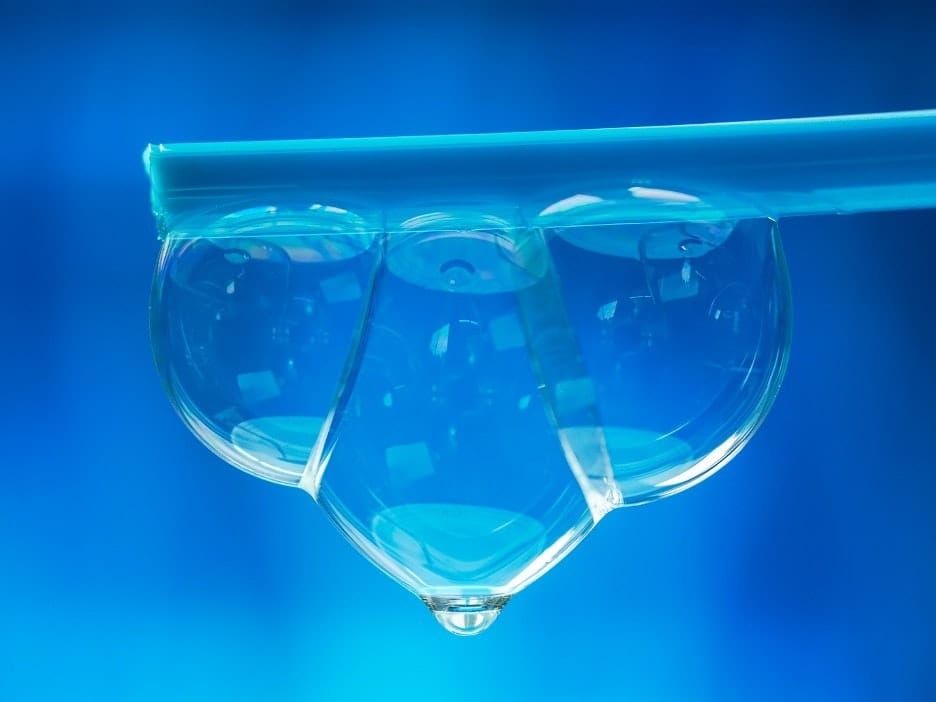 Emotion in Motion post image