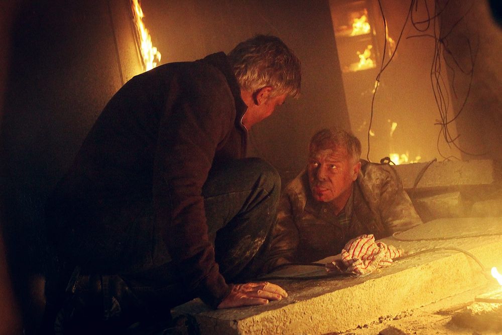 The life and challenges of a professional photographer post image