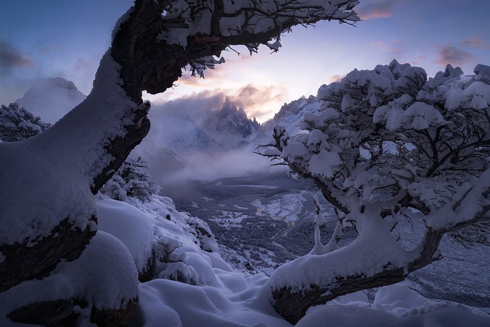 Ditching social media in the age of social media post image