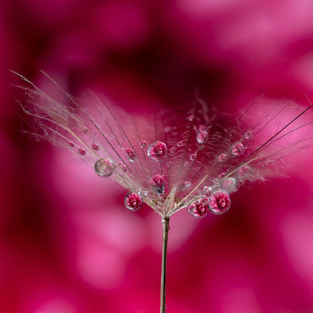 #Favourite2023 post image