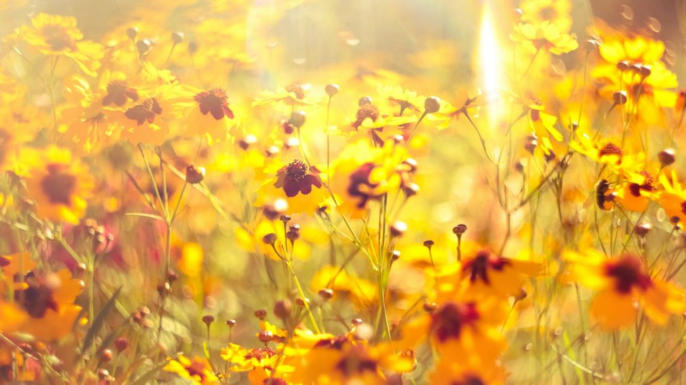 What makes a captivating photo? post image