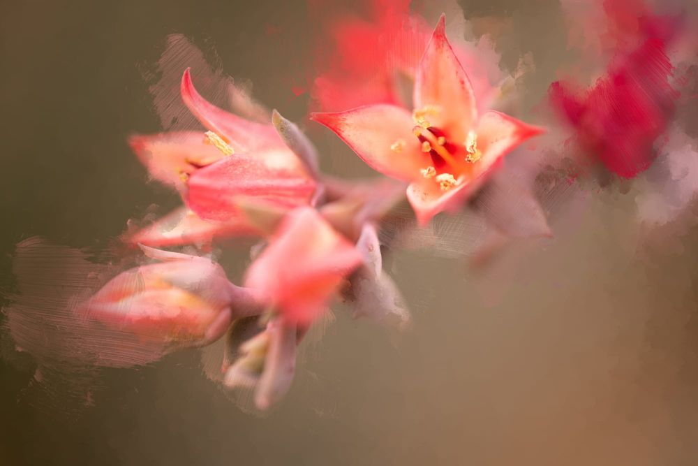 The nature of photography post image