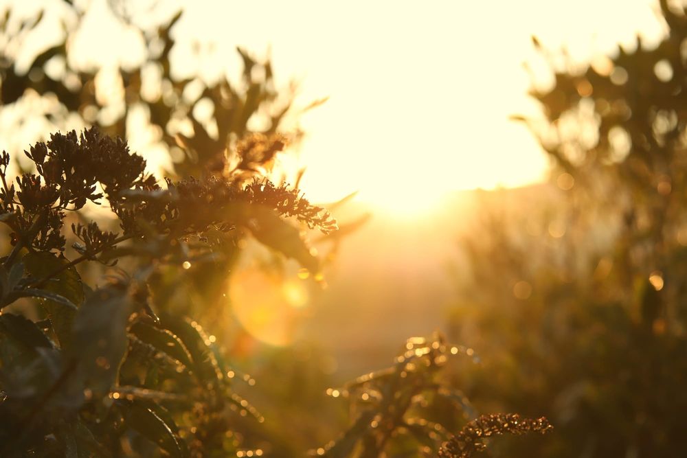 Mindfulness Month challenge is back post image