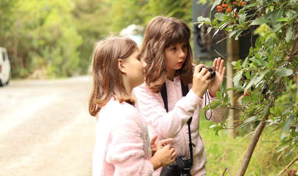 The art of seeing post image