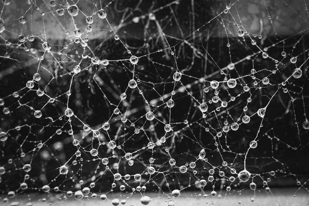 Discovering the art in everyday moments post image