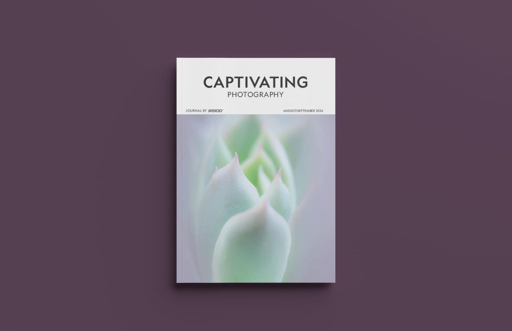 Dive into issue 8: insights, inspiration, and adventures await! post image