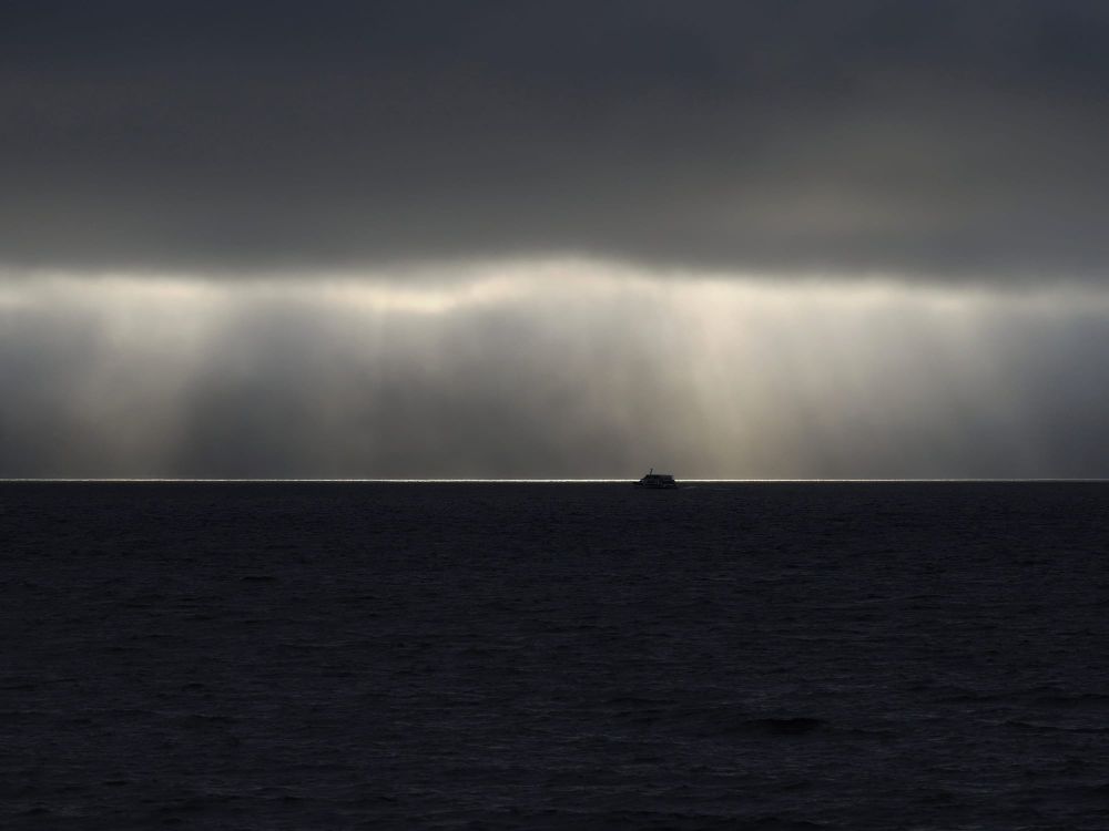 A showcase of talent post image