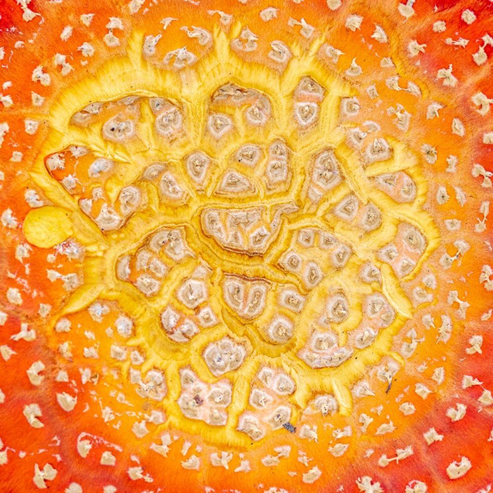 Cosmic sunrise post image