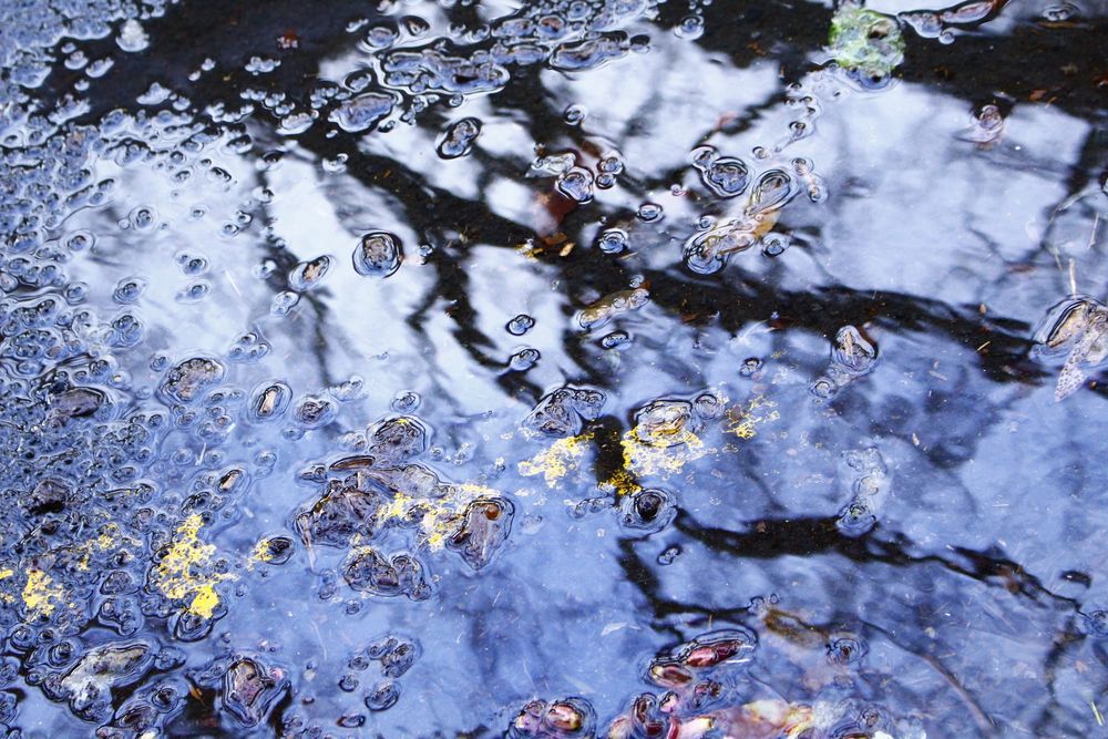 Look again: Kids reimagine the world post image