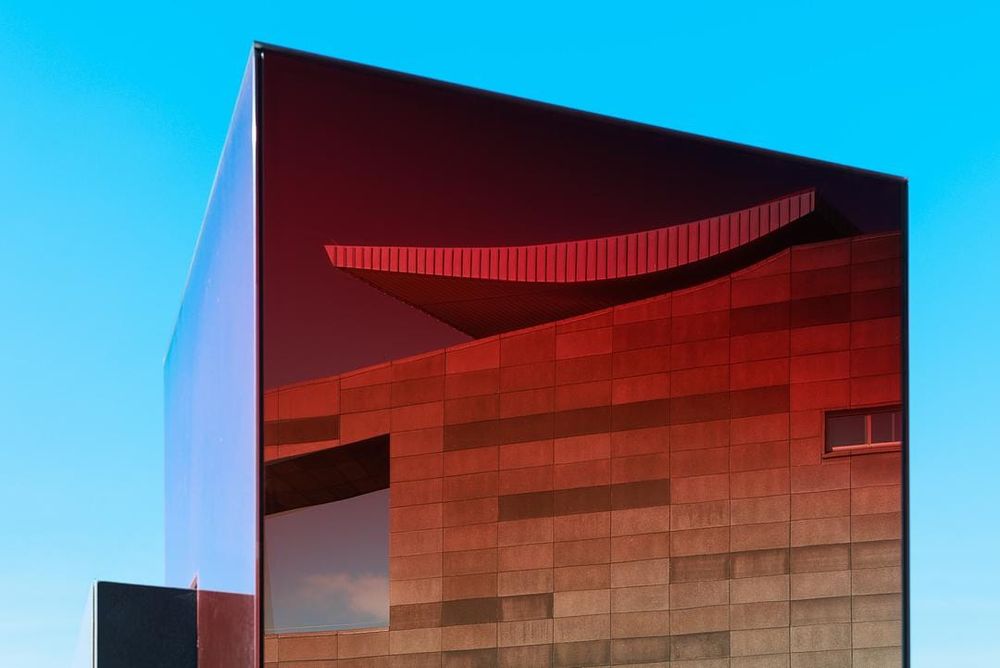 Seeing as we are: Why the most captivating photos often come from fresh eyes post image