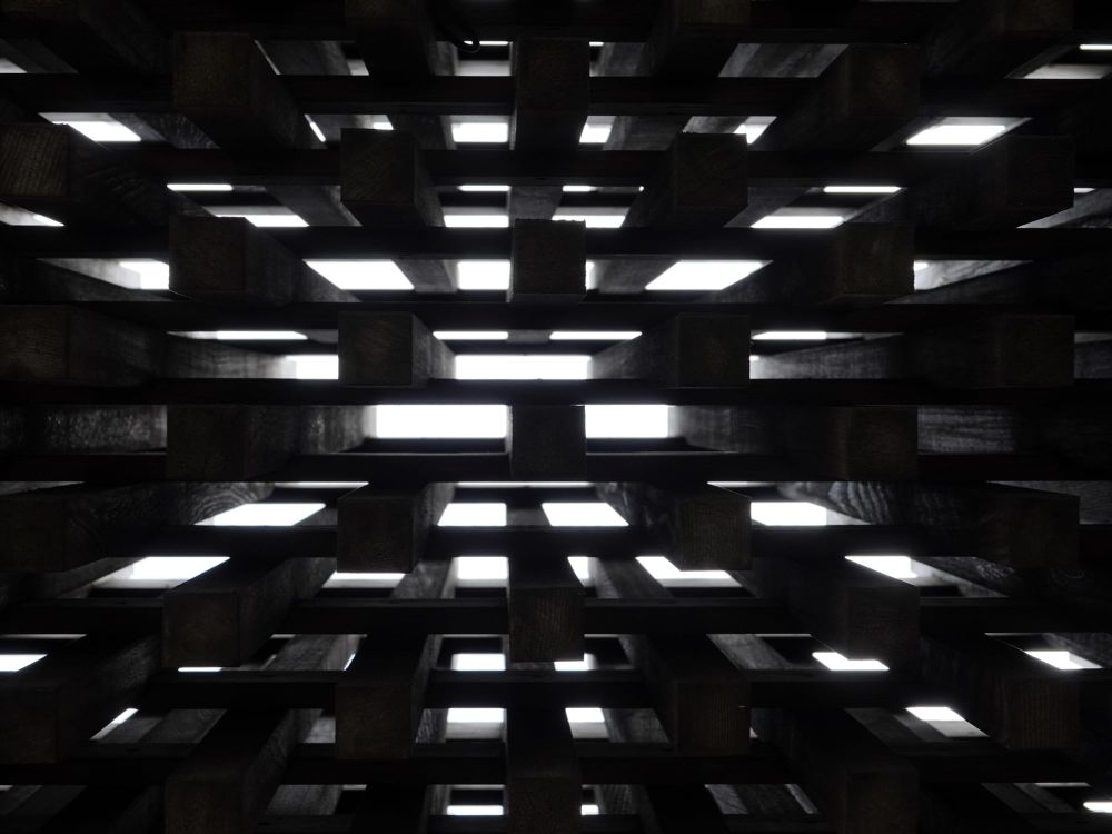 Walking, noticing, photographing post image