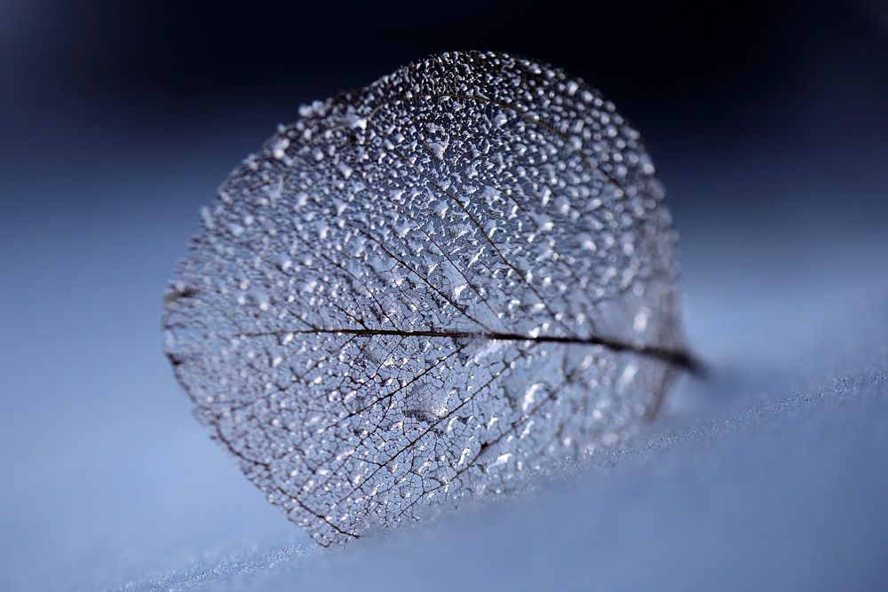 The quiet power of noticing post image