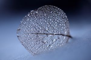 The quiet power of noticing post image