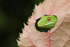 Protecting nature through photography post image