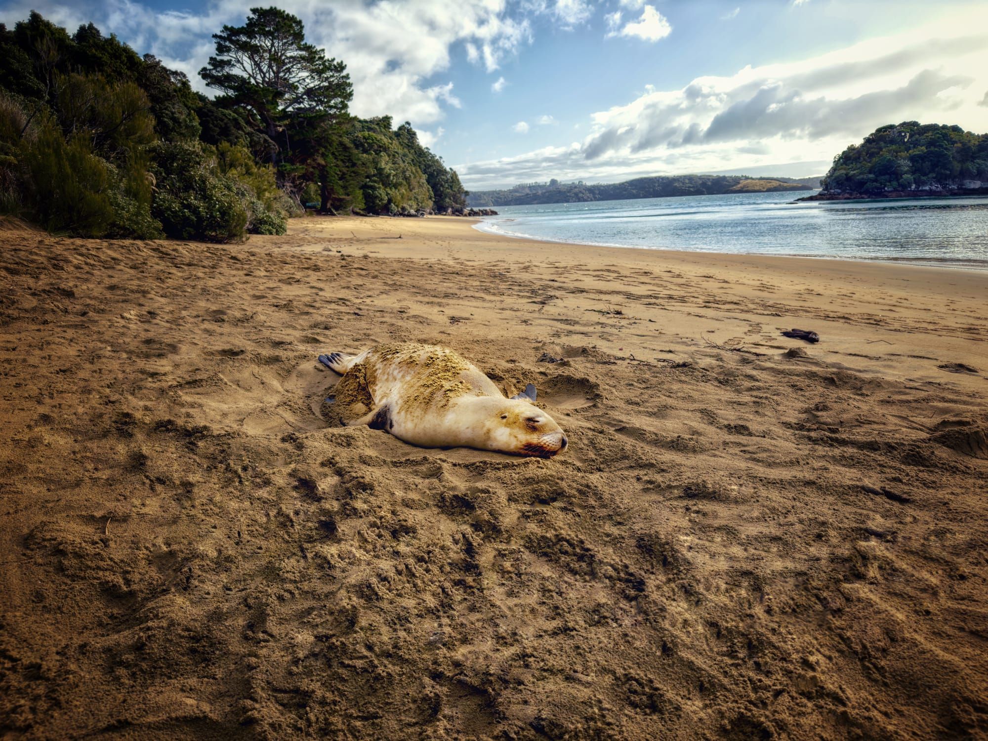 Exploring the nomadic photo journey of Dan Winner