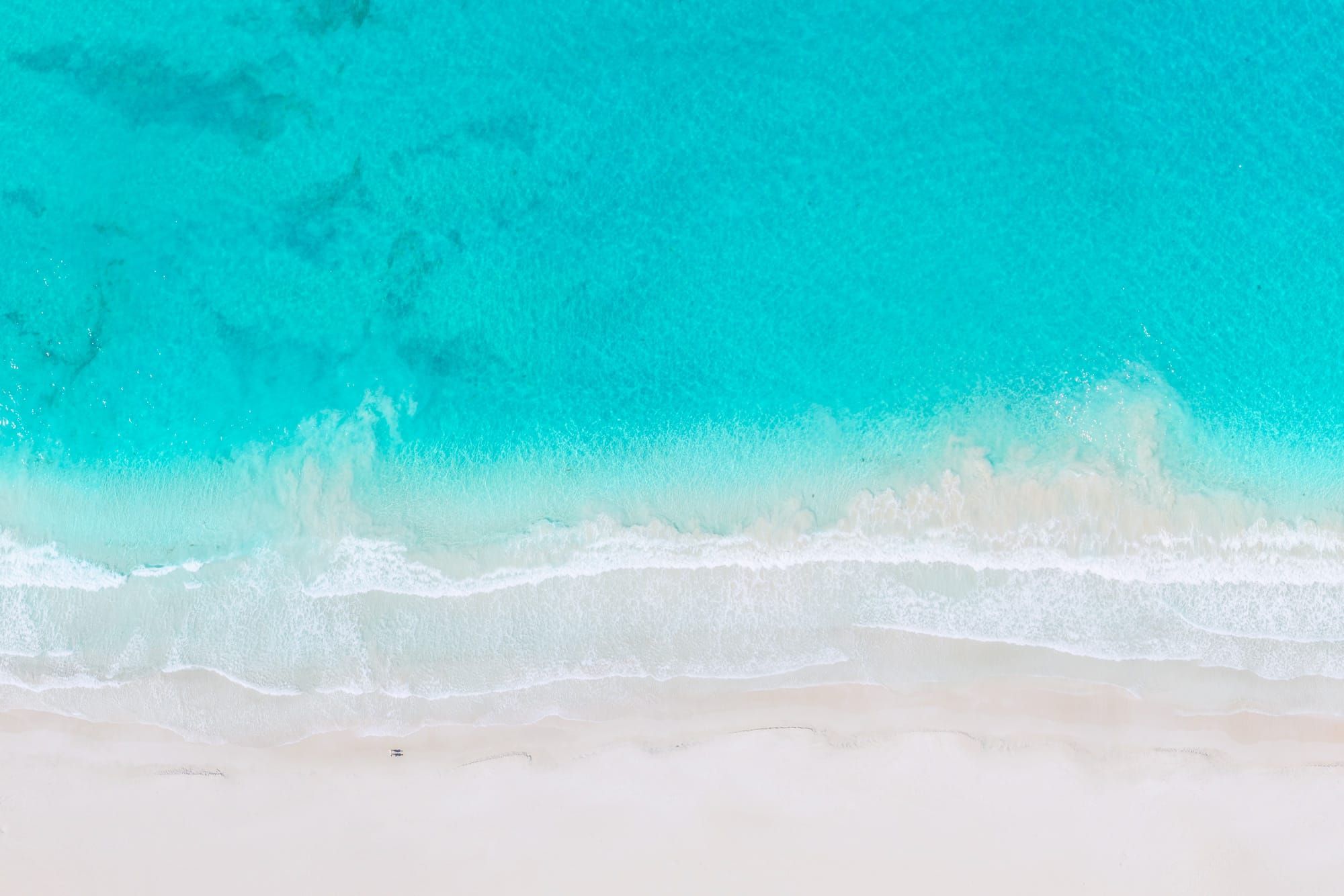 Fostering a deeper connection with nature in the age of AI