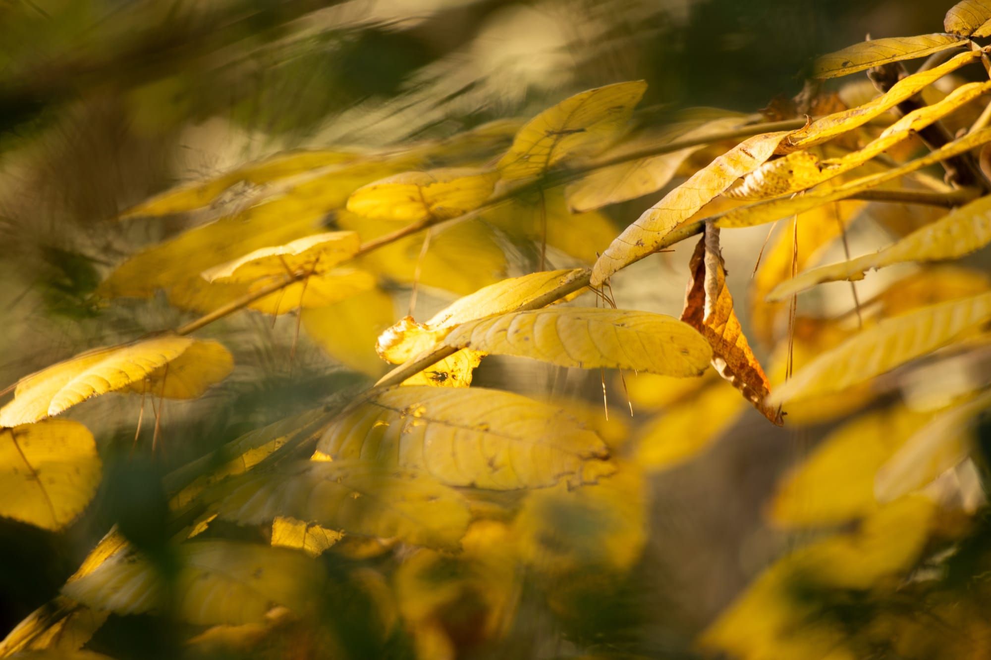 Mindfulness through the viewfinder