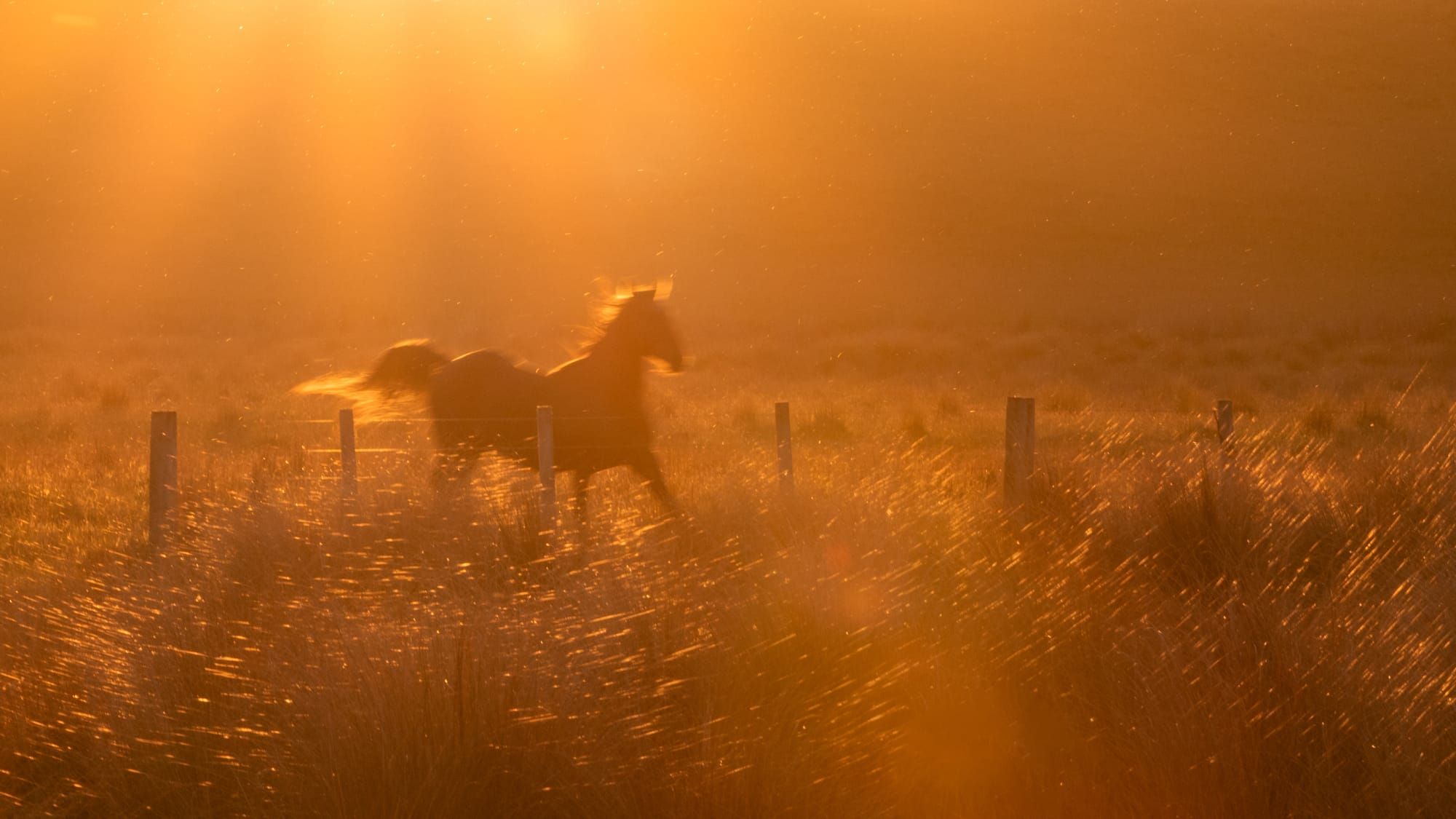 Photographing freedom