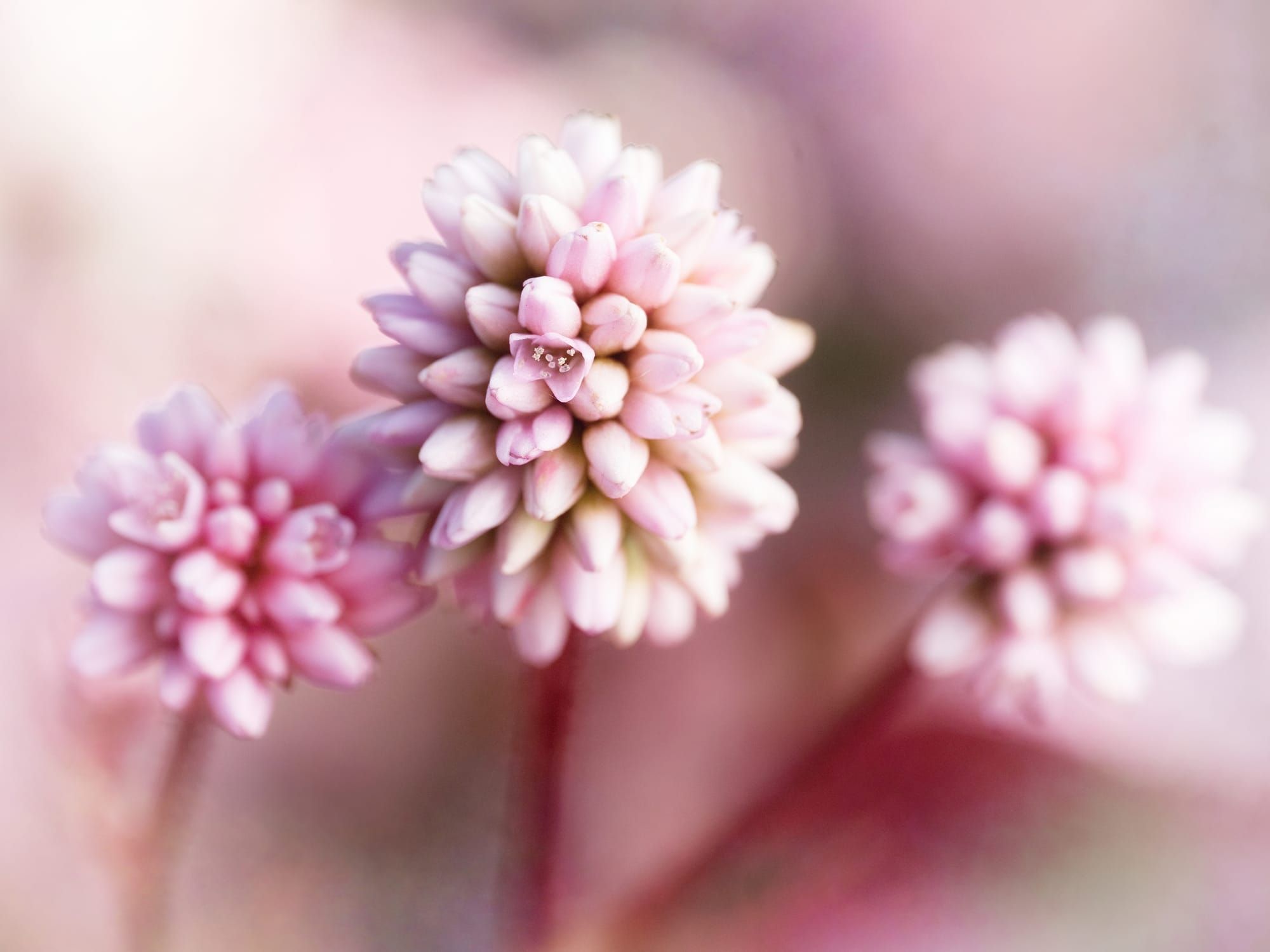 The art of noticing