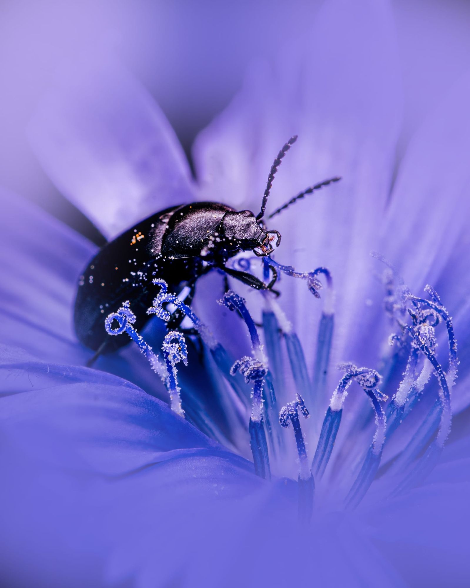 Nature’s tiny stories