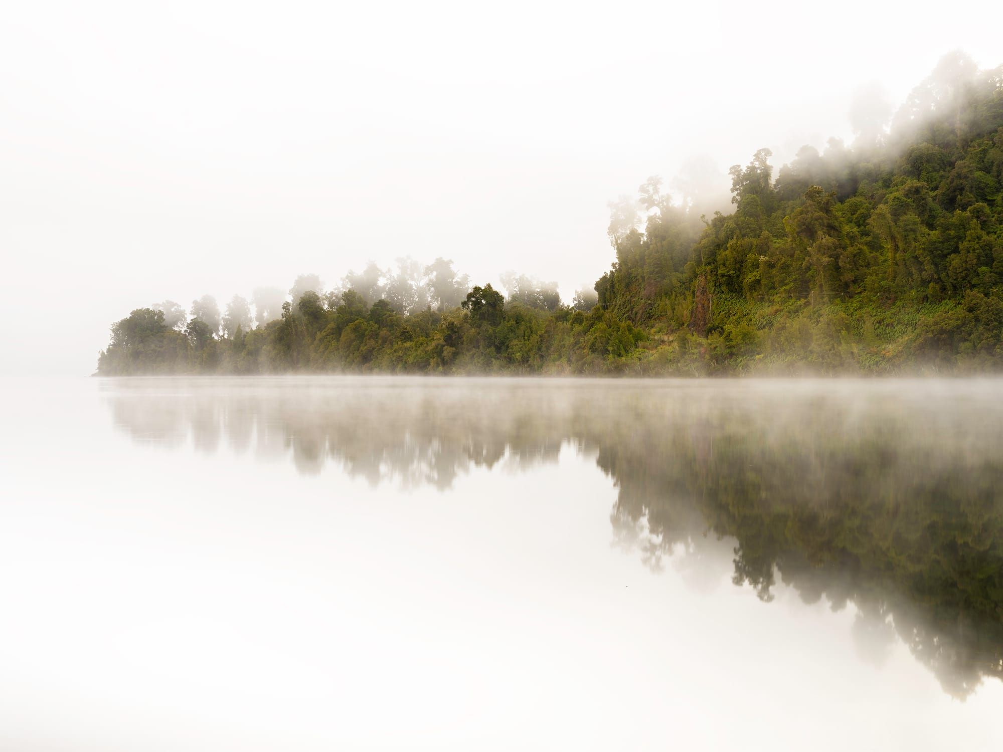 From exploration to expression