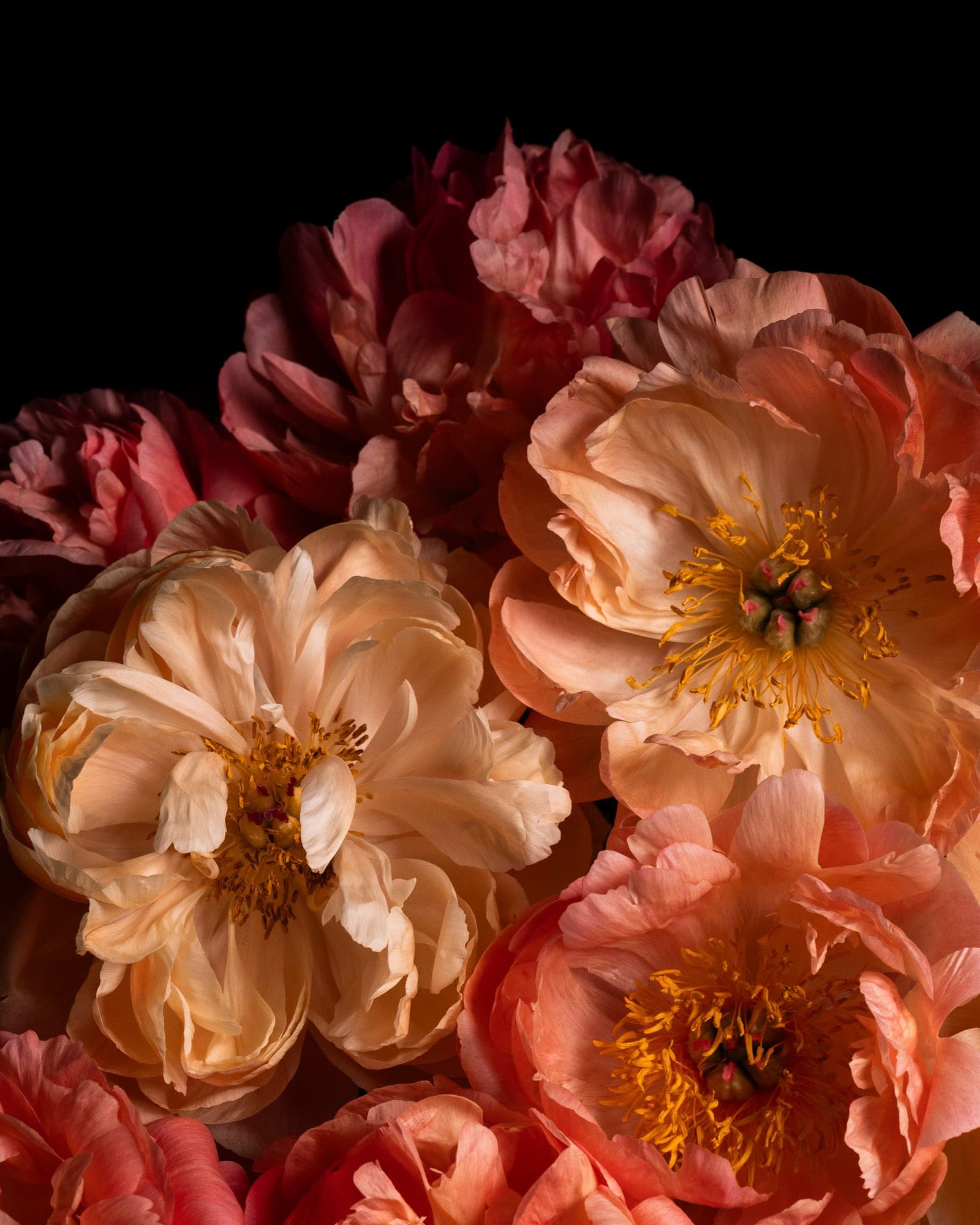 Where flowers speak