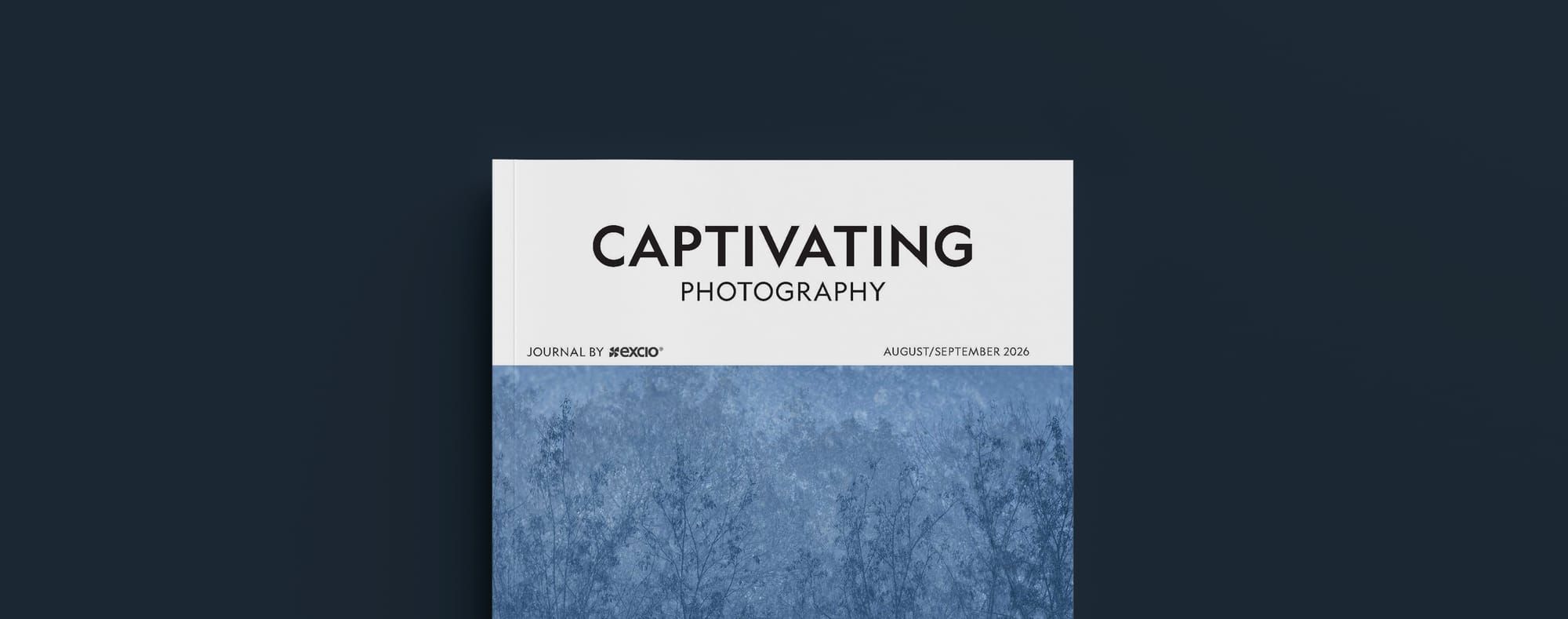 Issue 20 of Captivating Photography Journal is here!
