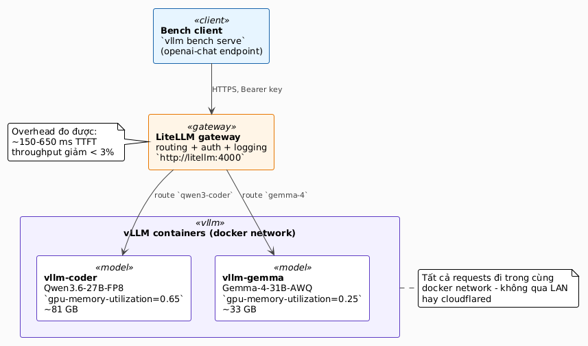 Stack benchmark: bench client → LiteLLM gateway → vLLM containers (qwen3-coder + gemma) trong cùng docker network