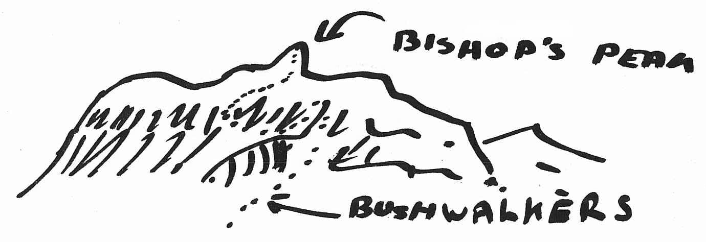 BISHOP'S PEAK BUSHWALKERS