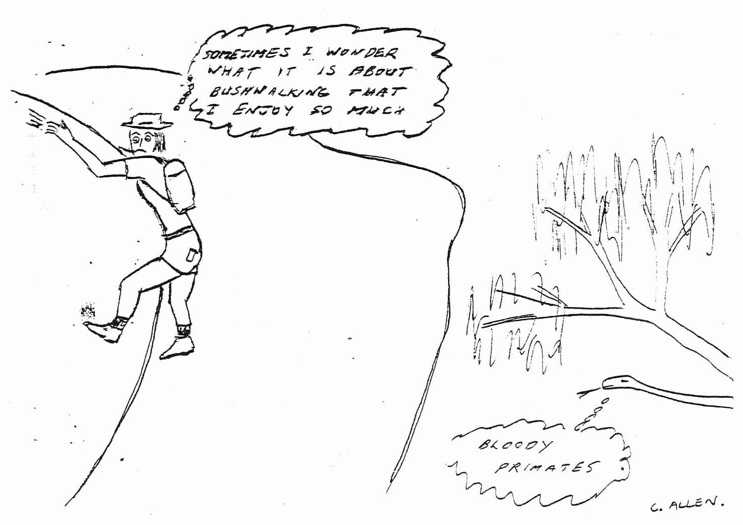 SOMETIMES I WONDER WHAT IT IS ABOUT BUSHWALKING THAT I ENJOY SO MUCH. BLOODY PRIMATES