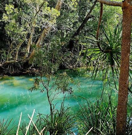 Clement State Forest