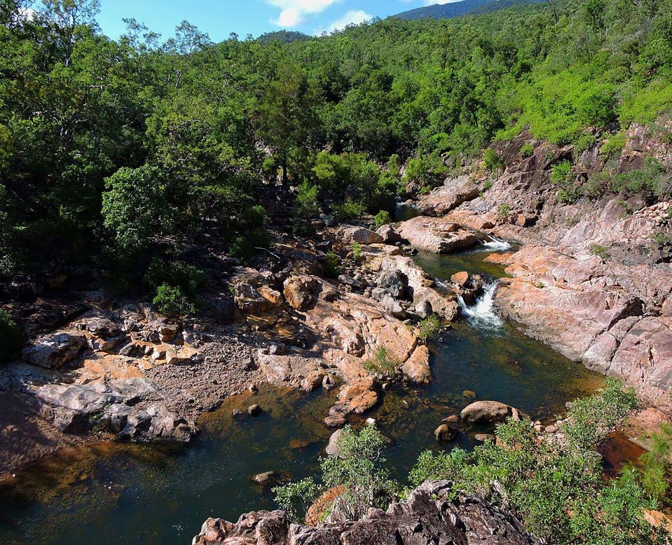 Alligator Creek Lookout