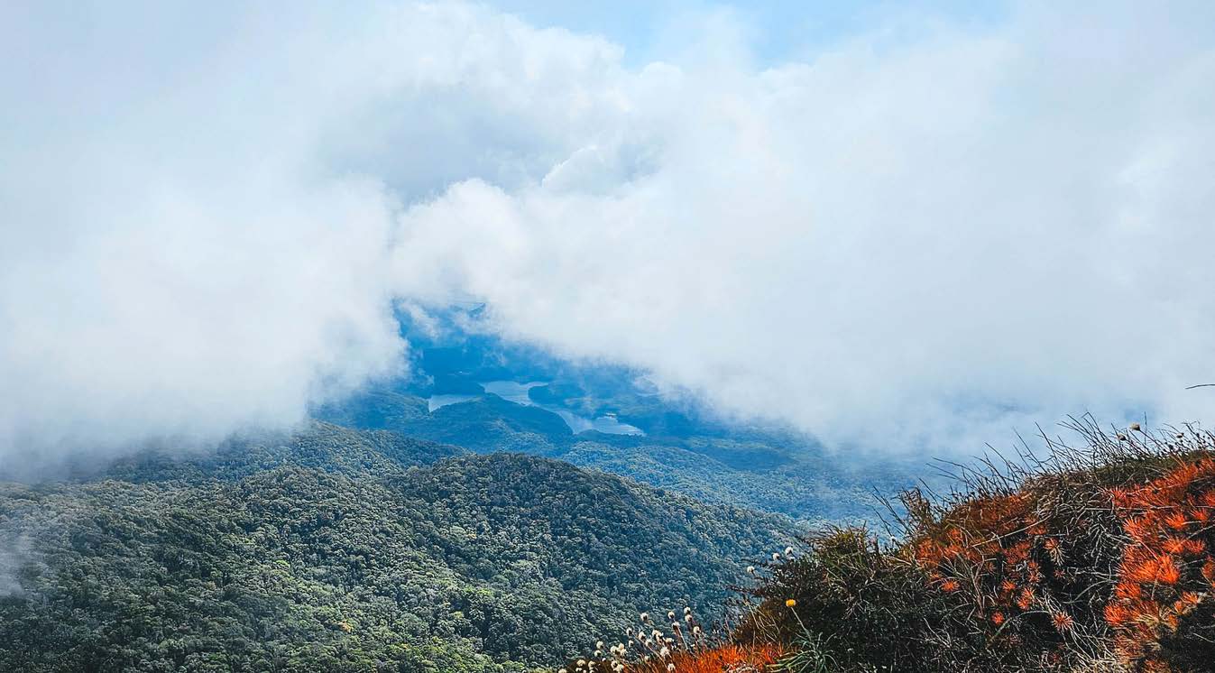 Kahlpalim Rock (Lamb's Head), Davies Ck NP