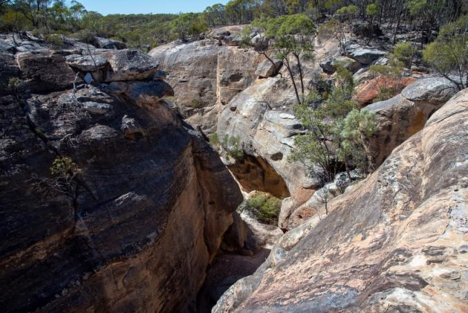 Cann Creek Canyon-6772.jpg