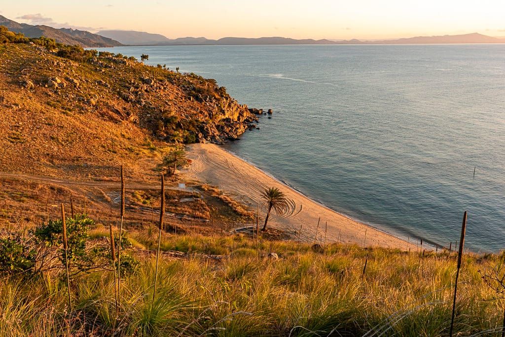 October-cum-early November Newsletter