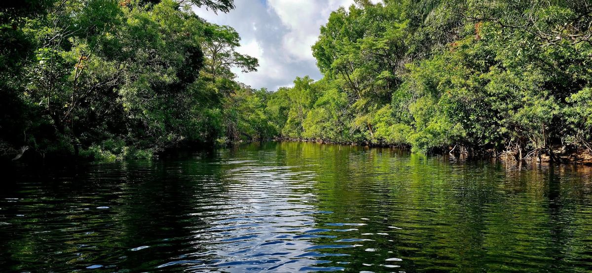 Alligator Creek Falls - Trip Report