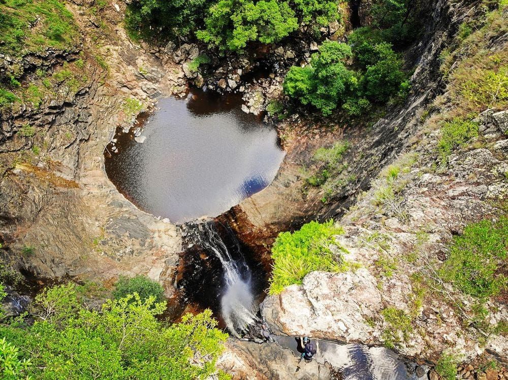 Upcoming June 2022 Bushwalks