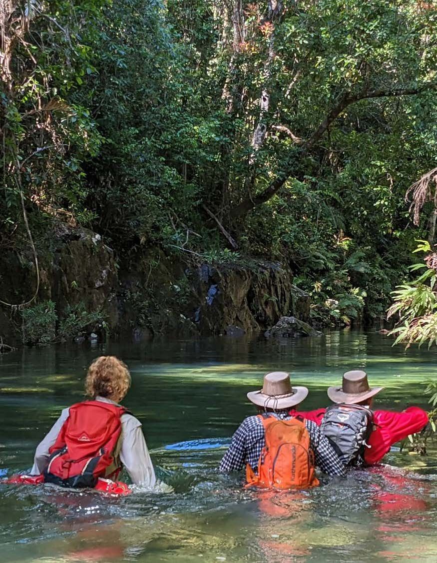 Creek exploration, Paluma