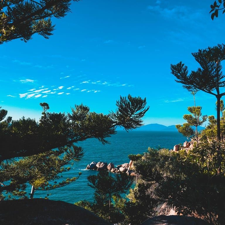 June Jaunts :) with the Townsville Bushwalking Club