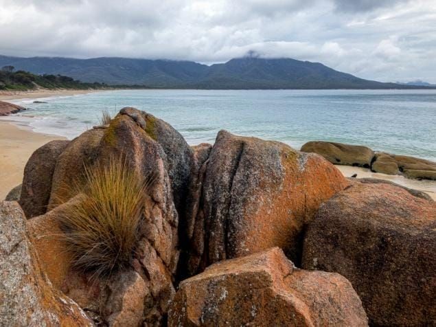 Walks Report April 2022