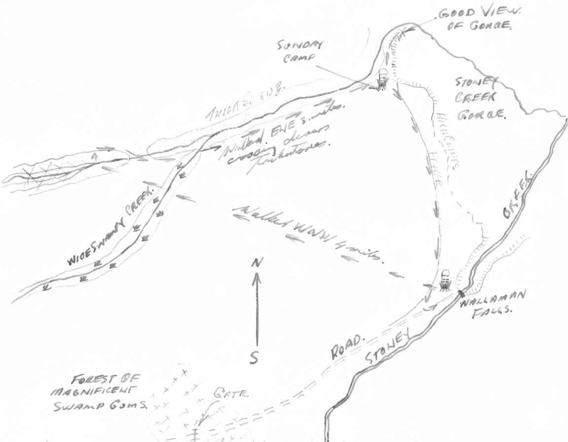 Wallaman Falls. Walk Report.