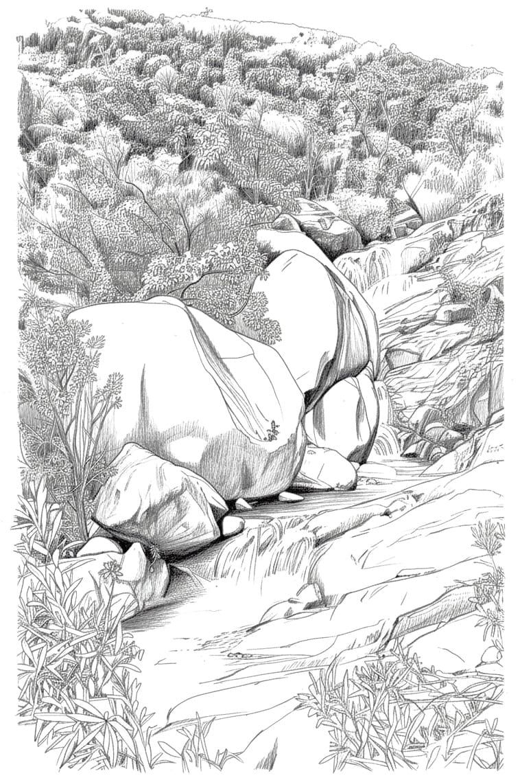 Cloudy Creek (Also known as Ethel Ck.)