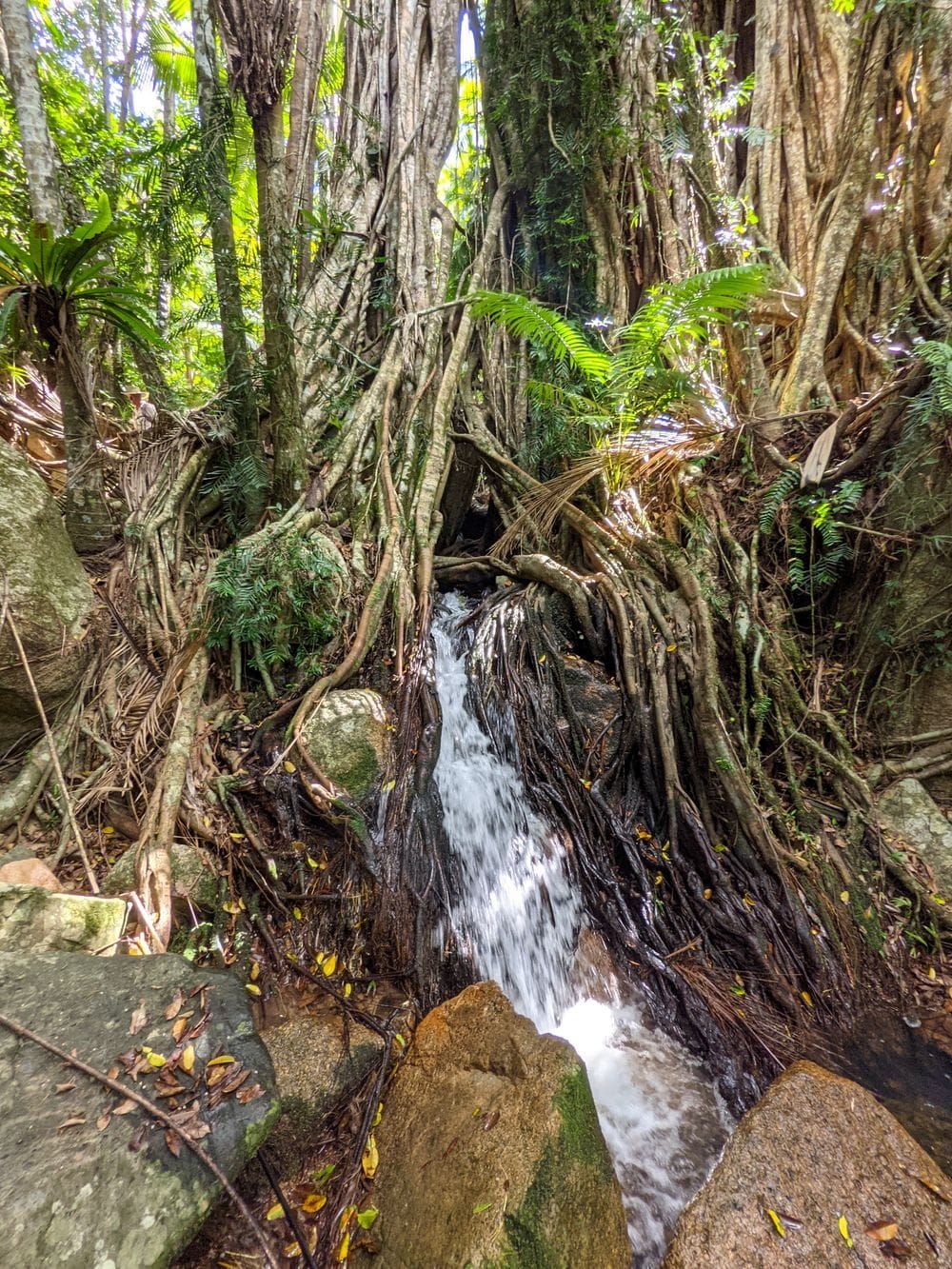 January Newsletter 2026