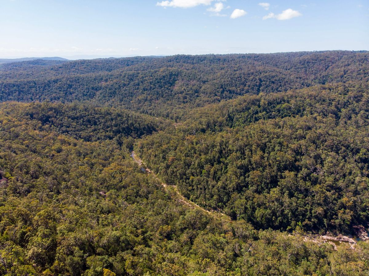 Exploring the K-Traverse logging road network - Trip Report