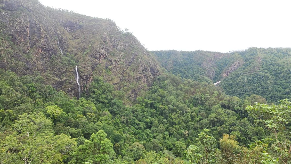 February Newsletter 2026