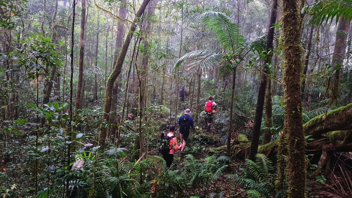Saddle Mountain and plane wreck
