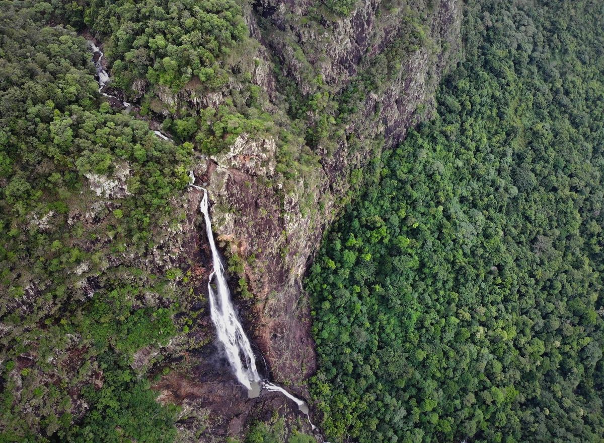 Forever Falls - Trip Report