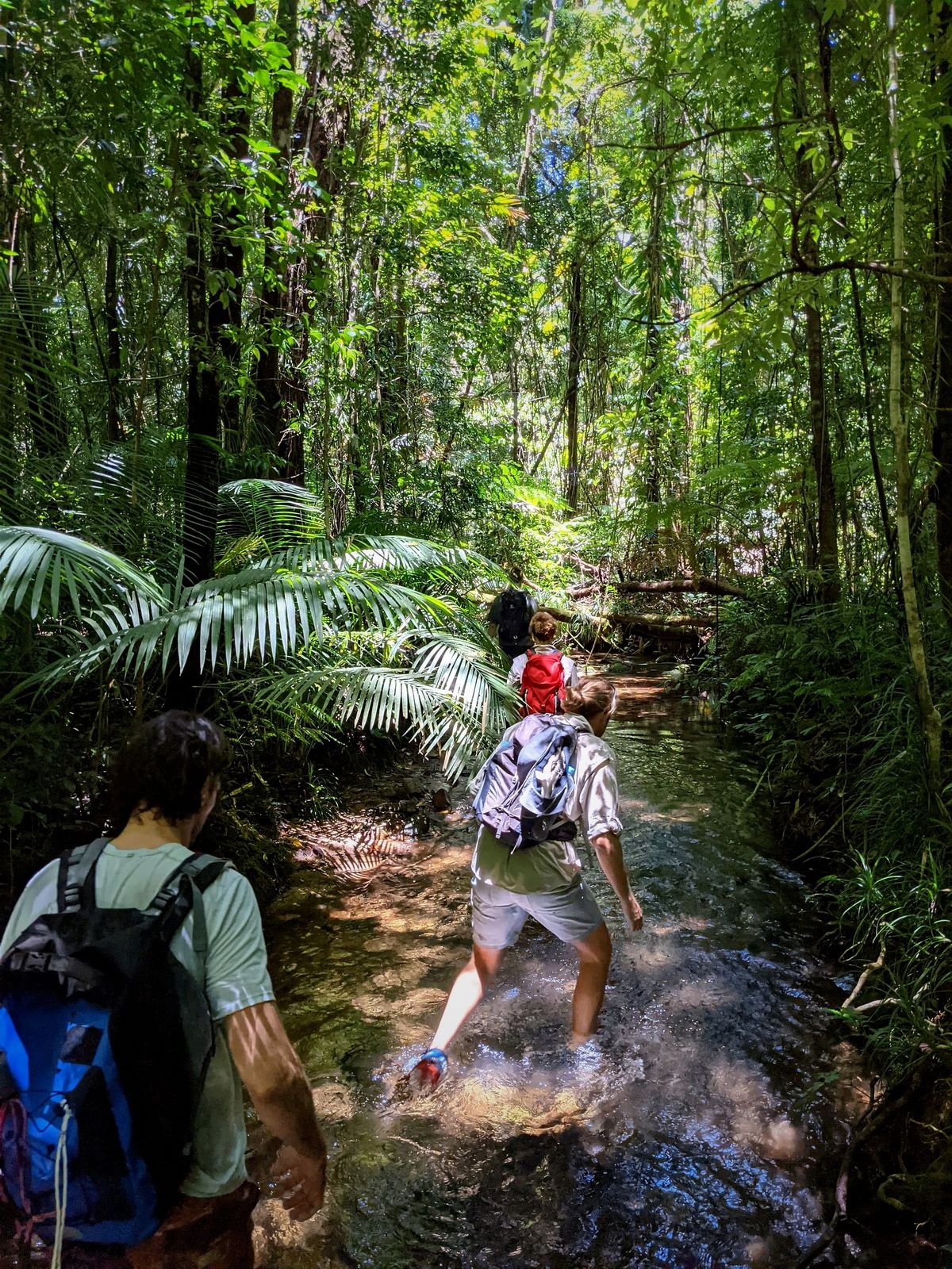 Upper Gold Creek Circuit - Trip Report