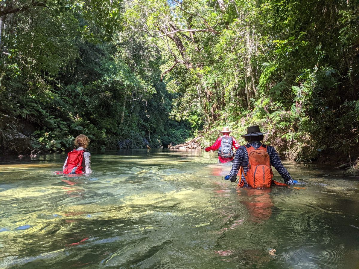 Swamp Creek to Big Birthday Creek Loop - Trip Report