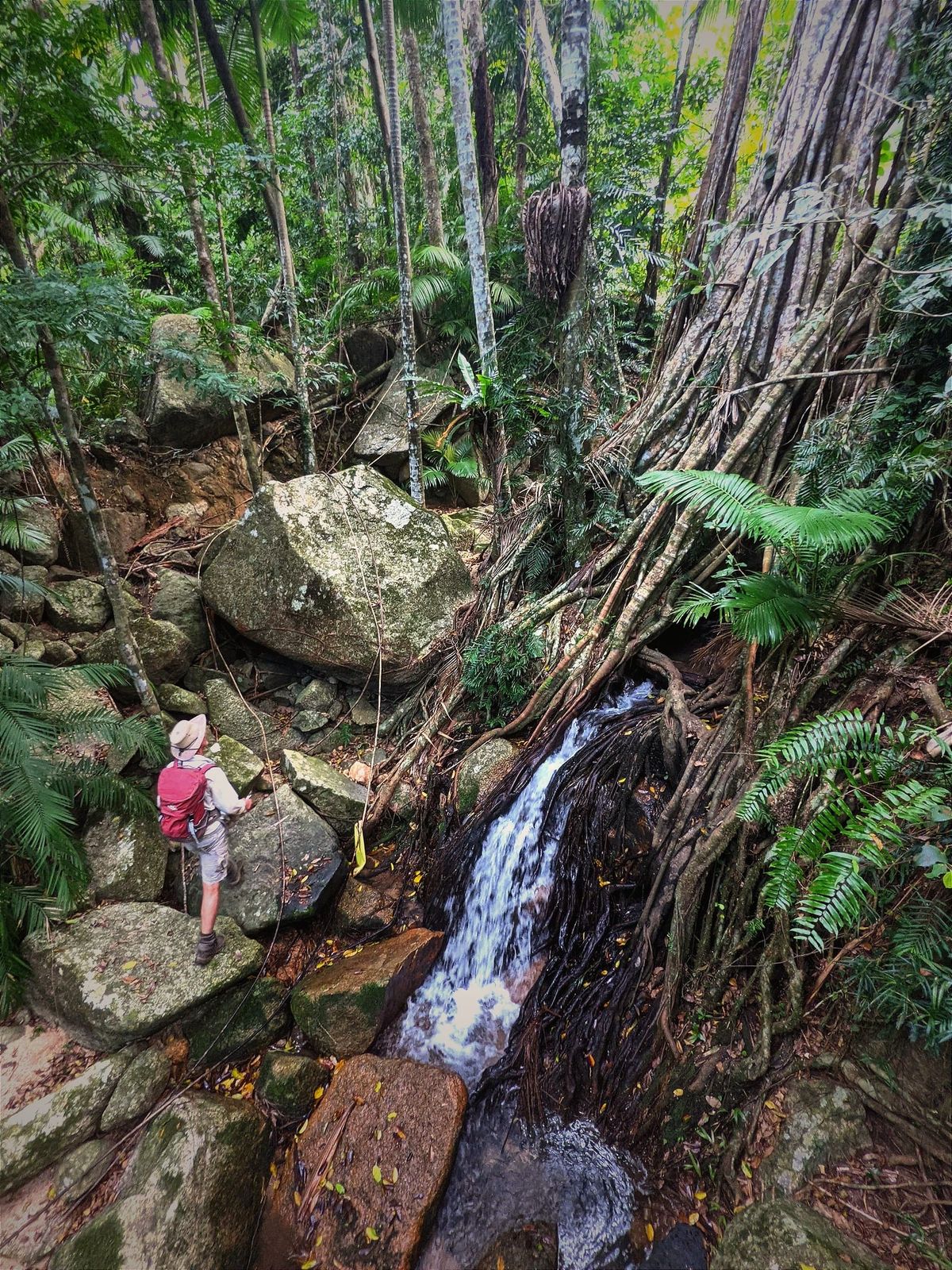 Insulator Creek and Fig Tree Falls - Trail Maintenance